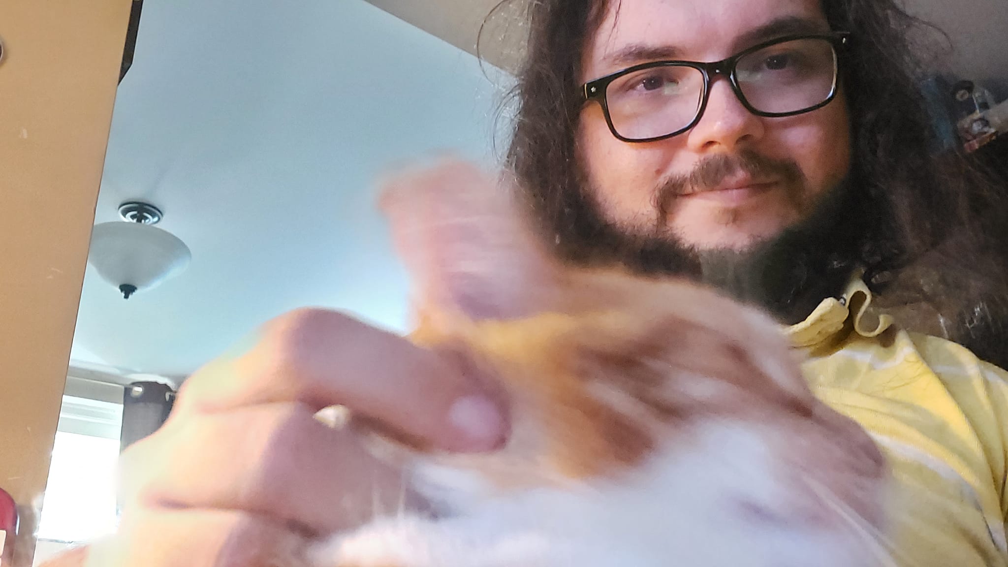 An orange cat is with a man with long dark hair, photo 1